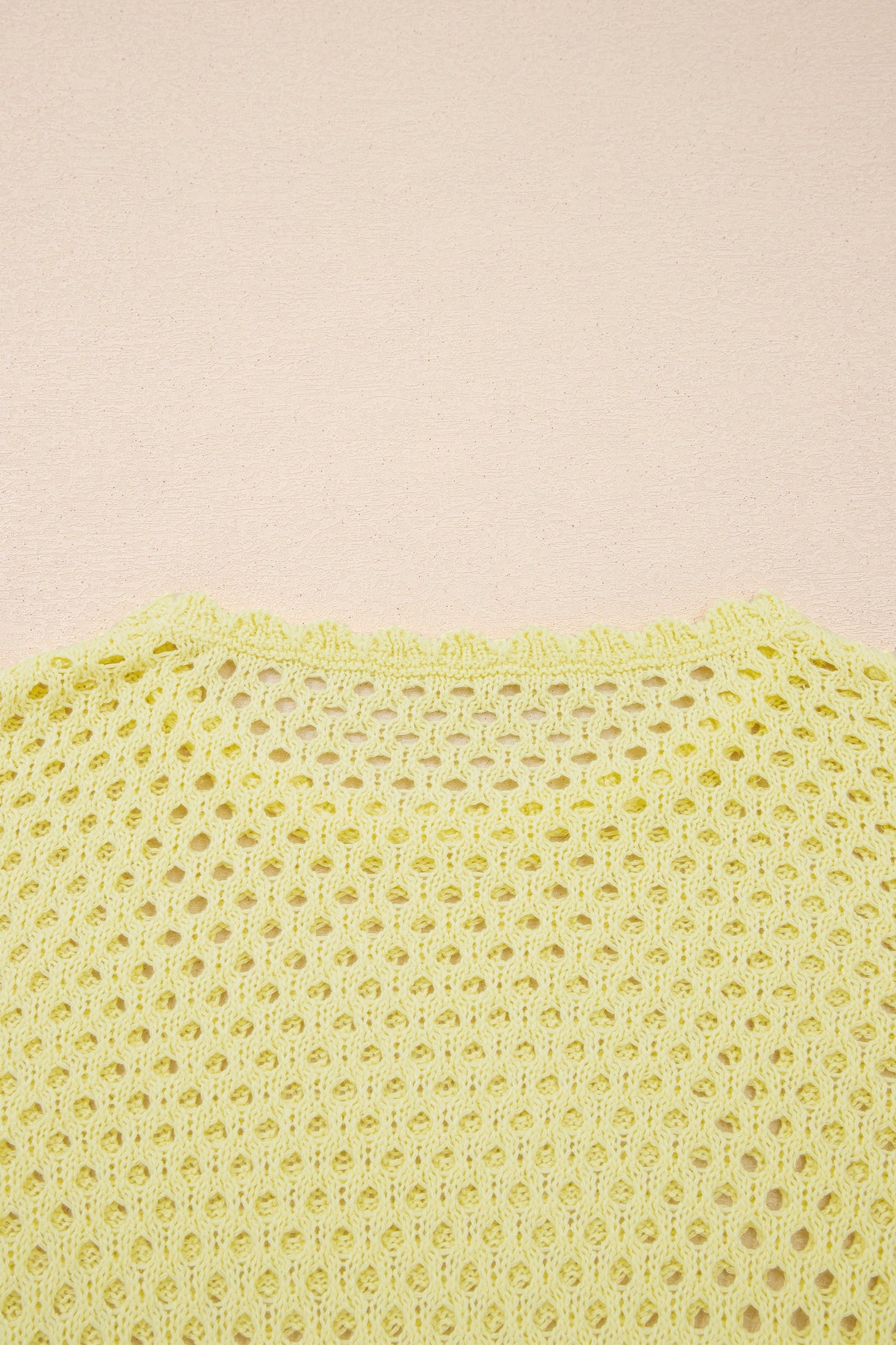 Scalloped Trim Hollow Out Knit Long Sleeve Top