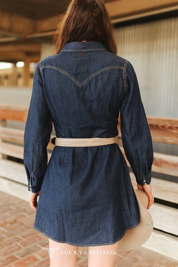 Classic Western Button Down Long Sleeve Denim Dress