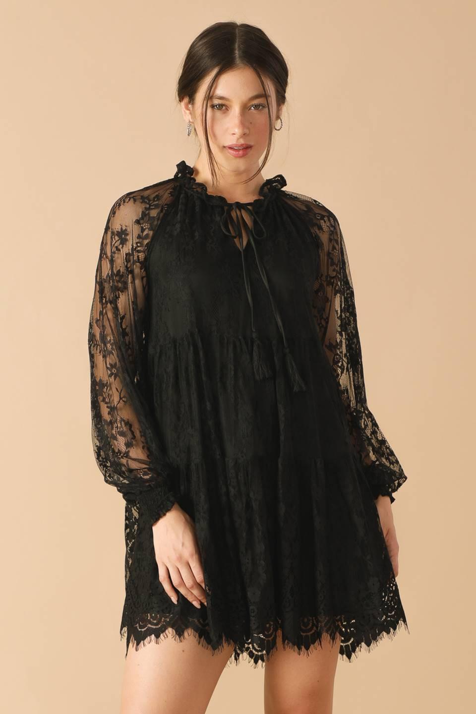 This & That Black Woven Lace Mini Dress