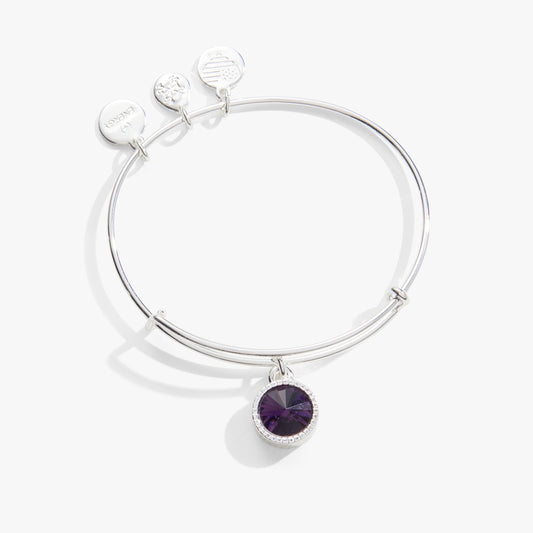 February Birthstone Charm Bangle Amethyst