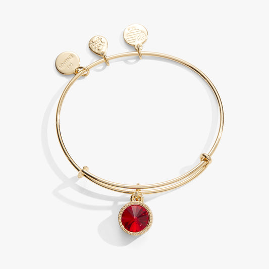 July Birthstone Charm Bangle Ruby