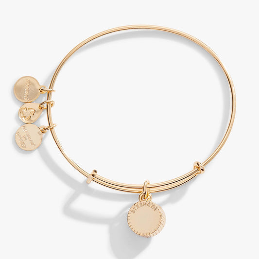 November Birthstone Charm Bangle Topaz